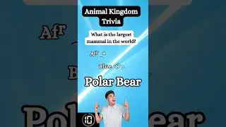 Largest Mammal in the World? Can You Crack This Random Trivia Question? From @shortfactwizard
