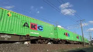 2025,11,20　JR東海道本線 貨物列車撮影記　～伊吹山の雪化粧･紅葉と秋晴れの下を往く～