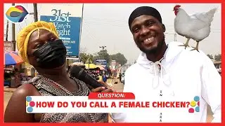 How Do You Call A Female Chicken? | Street Quiz | Funny Videos | Funny African Videos |