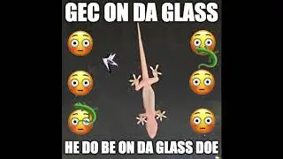 salv the dog - gec on da glass (official audio)