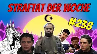 Schwarzfahrender Migrant uriniert auf Schaffnerin