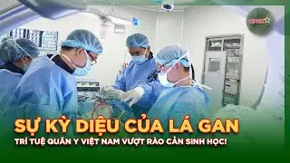 Sự Kỳ Diệu Của Lá Gan: Trí Tuệ Quân Y Việt Nam Vượt Rào Cản Sinh Học!