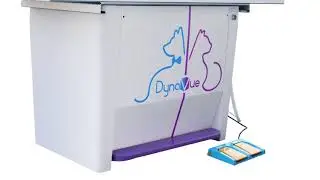 Fluoroscopy And DR Digital X Ray