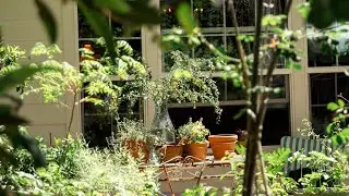 June Gardens at A Schilling Home