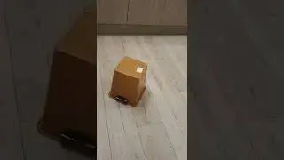 12 ноября 2022 года StealthCat Котомаскировка