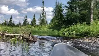 Adirondack Canoe Paddle - Shingle Shanty Brook - Ambient Sound - Old Town Pack Canoe - Beaver Dams