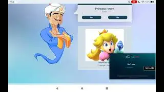 Can Akinator Guess Mario Characters?