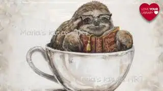 Library Funding Misconceptions