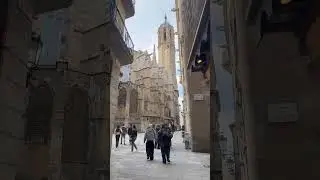 Barcelona Cathedral (Spain)