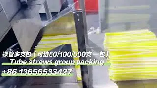 Multiple straw packing group .The finesse of 5, the magnitude of 500&mdash;all at the touch of a button. 