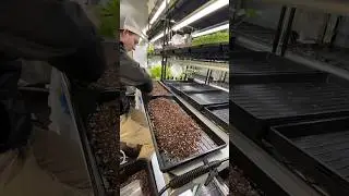 Ignore the haters on #indoorfarming #verticalfarming #agriculture #urbanfarming #urbanfarm