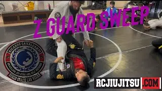 Z guard set up and sweep English and Portuguese 