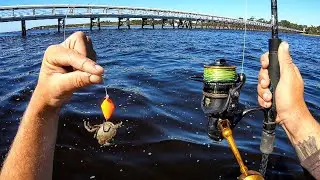 Fishing Live Crabs & Jigs Along Docks For Whatever Bites!