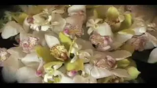 Intro Wedding Video