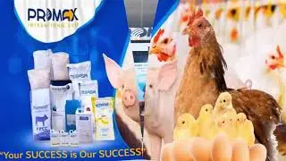 Roadmaps to the New Normal in Animal Production: Egg Shell Quality in aged laying hens-Dr.Dela Torre