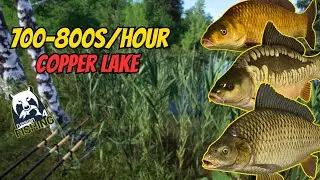 Russian Fishing 4 🎣 700&ndash;800 Silver per Hour at Copper Lake