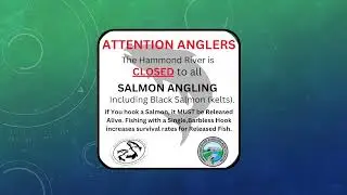 Reviewing Fishing Regulations: No Salmon Angling on the Hammond