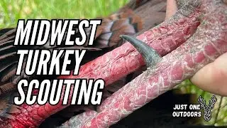 Before the Hunt: Just One Outdoors' Spring Turkey Scouting Tactics!