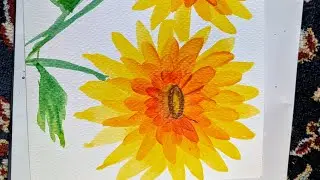 Beautiful yellow flowers 
