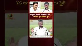 నీళ్లు వద్దు గొడవలే కావాలి అనే రకం... YS జగన్ పై చంద్రబాబు ఫైర్ | #Chandrababu | #YTShorts