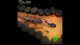 The Ant android game