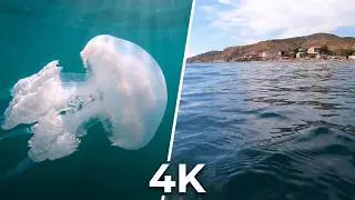 GoPro HERO7 Black | MATRANG - МЕДУЗА