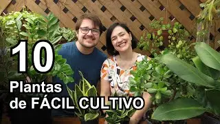 10 Plantas de FÁCIL CULTIVO!