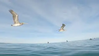 15th Street Del Mar Surf Edit