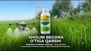 Secrets of Rice Cultivation