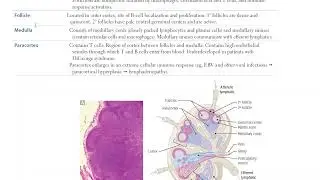 USMLE 1 FA2025 IMMUNOLOGY Reading  #usmle #usmlepreparation #usmleprep #usmlestep1 #usmlestep