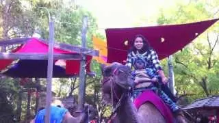Bronx Zoo Camel Ride During Halloween