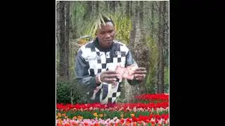 MAHUMBE NYANDA MAKOYE _PESA BY ZUNGU STUDIO 2025
