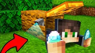 PRONAŠAO SAM SKRIVENO BLAGO UNUTAR DRVETA u Minecraftu!!!