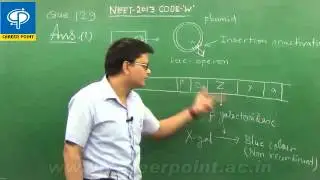 AIPMT NEET-2013 Biology-Q129