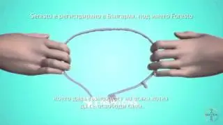 Как да поставим Foresto при котки