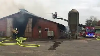 Brand im Geflügelstall in Bösel