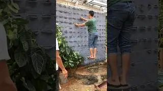 Biofelt Vertical Garden - Greening Your Walls with Sustainable Beauty | #Shorts