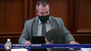 36th Guam Legislature FY2022 Budget Session - August 25, 2021 PM Pt.1