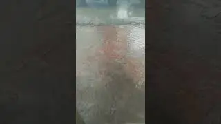 rupamari