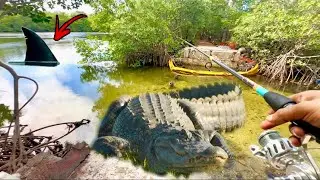 I wasn&rsquo;t expecting this ! Discovering new secret fishing spots !