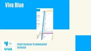 Viva Blue - Finch Terminal To Newmarket Terminal - Full Route