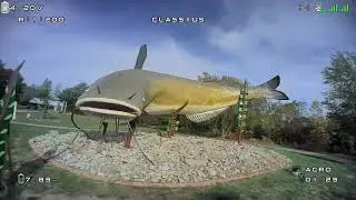 Full Practice Session -  With Muddy the Mudcat