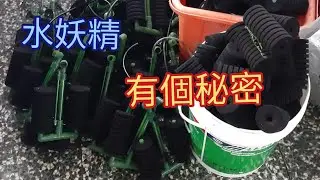 水妖精的秘密 過濾器 氣動海綿