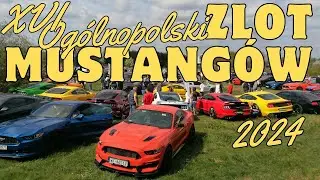 XVI Ogólnopolski Zlot Mustangów / Folwark Łochów 2024 / Fotorelacja