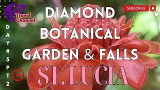 ST LUCIA: 