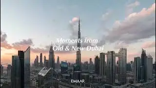 Discover Mina Rashid by EMAAR &ndash; Where the Sea Meets Sophisticated Living.