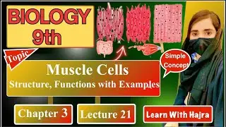 Structure,types and functions of muscle cells?|Chapter3 |Lecture 21| 9thClass Biology | NewBook(PTB)