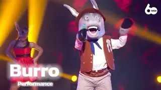 Programa 2-Burro 