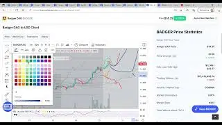 Badger DAO - Nice Move! - Technical Analysis, Review & Price Prediction