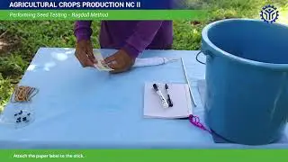 Performing Seed Testing - Ragdoll Method from TESDA Online Program (TOP)